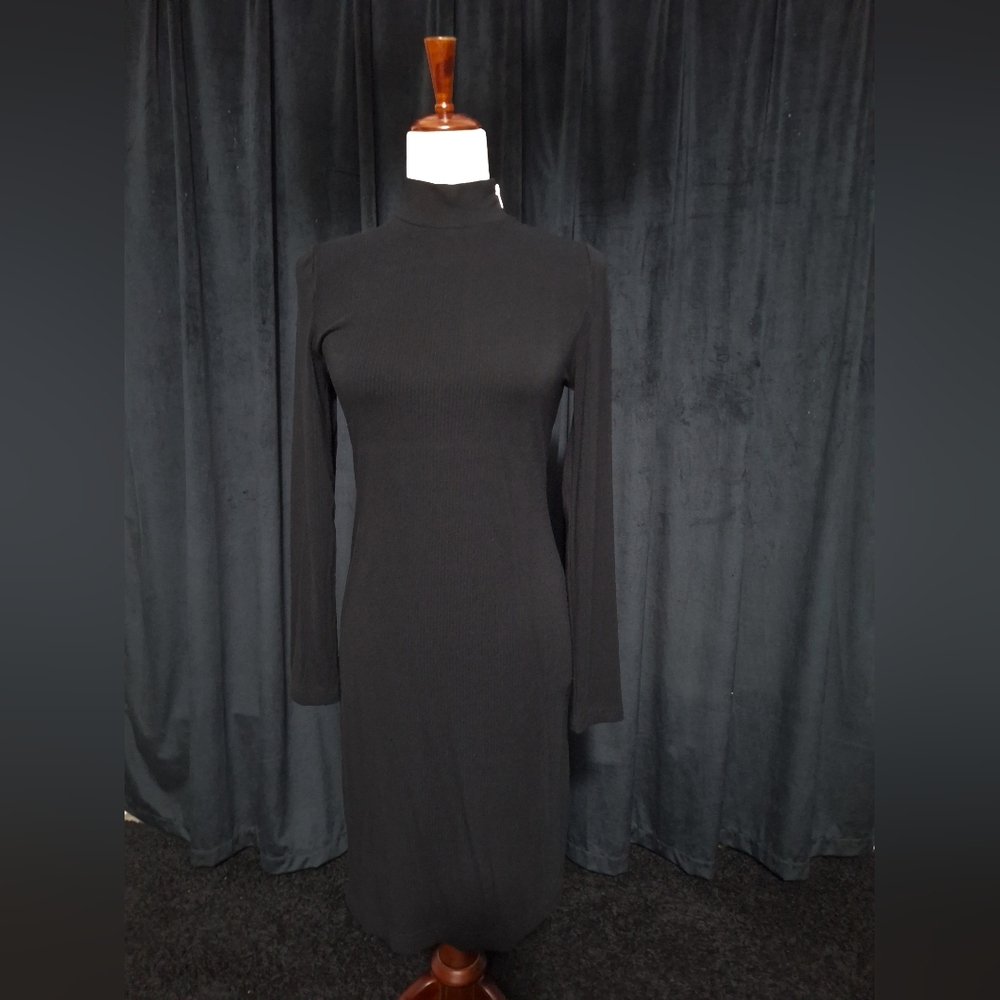 Elegant Black Turtleneck Dress